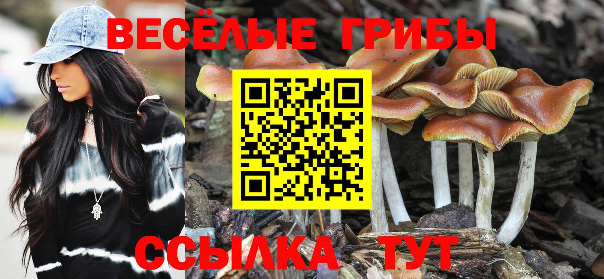 Нерюнгри  Галлюциногенные грибы Psilocybine cubensis  Вход с VPN  Псилоцибиновые грибы MAGIC MUSHROOMS 